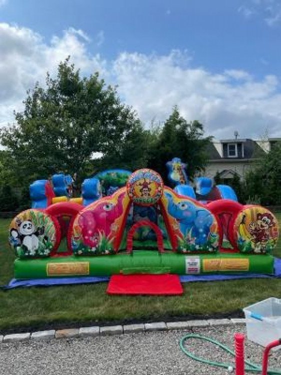 Animal Kingdom Toddler Unit Inflatable Rentals