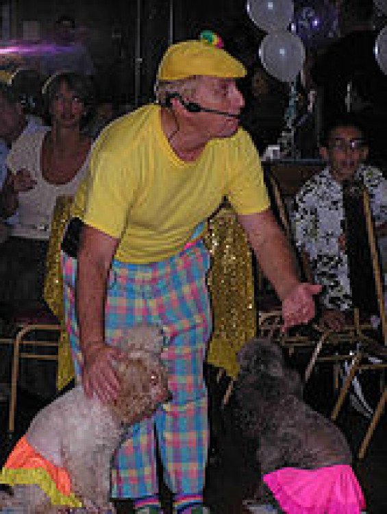 Dog Shows