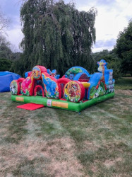 Animal20Kingdom20Toddler20Playland20Pics202 1745078508 Animal Kingdom Toddler Unit Inflatable Rentals