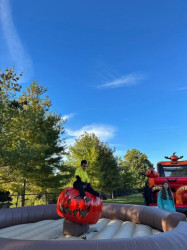 Mechanical20Pumpkin20Rentals202 1758028844 Mechanical Halloween Pumpkin Rentals