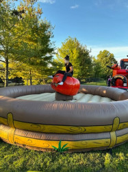 Mechanical20Pumpkin20Rentals203 1758028844 Mechanical Halloween Pumpkin Rentals